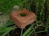 Vogeltrnke 2003